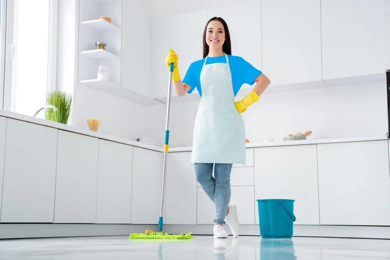 Home Maid Services